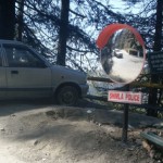 Traffic Mirrors in shimla