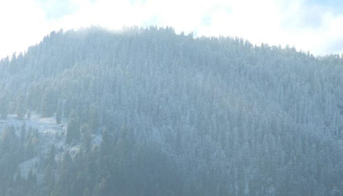 Snowfall at Hatu peak 
