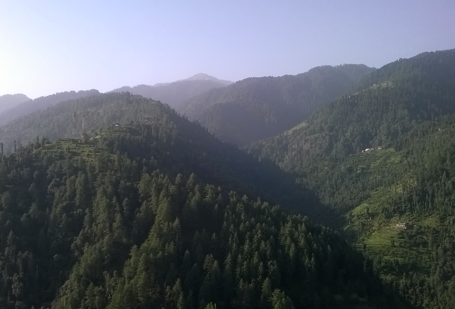 himachal forest
