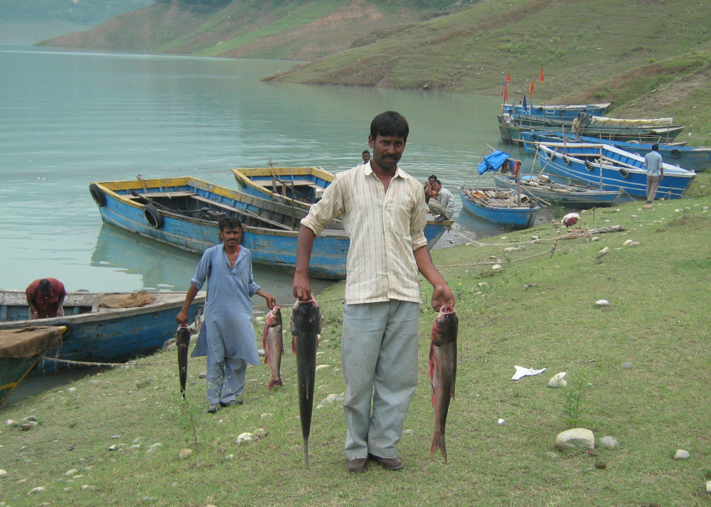 Pong Dam reservoir providing a livelihood for 2800 fishermen