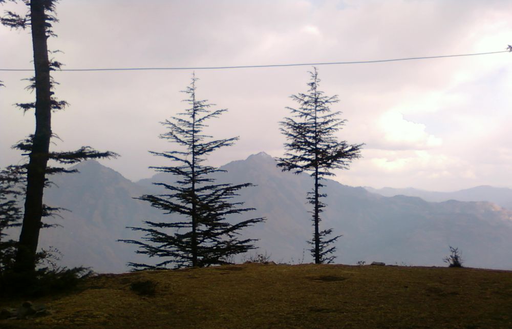 Shimla