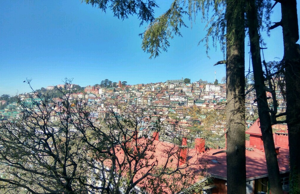 Shimla town