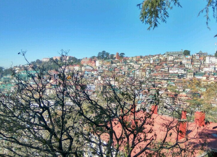 shimla