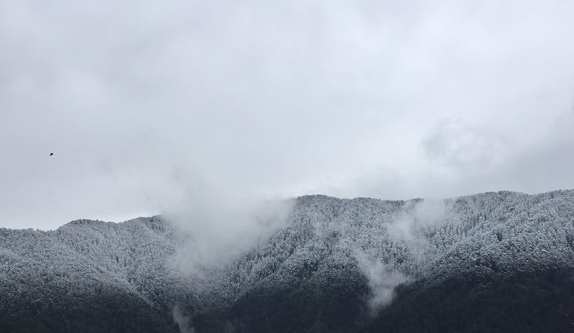 snow-in-shimla