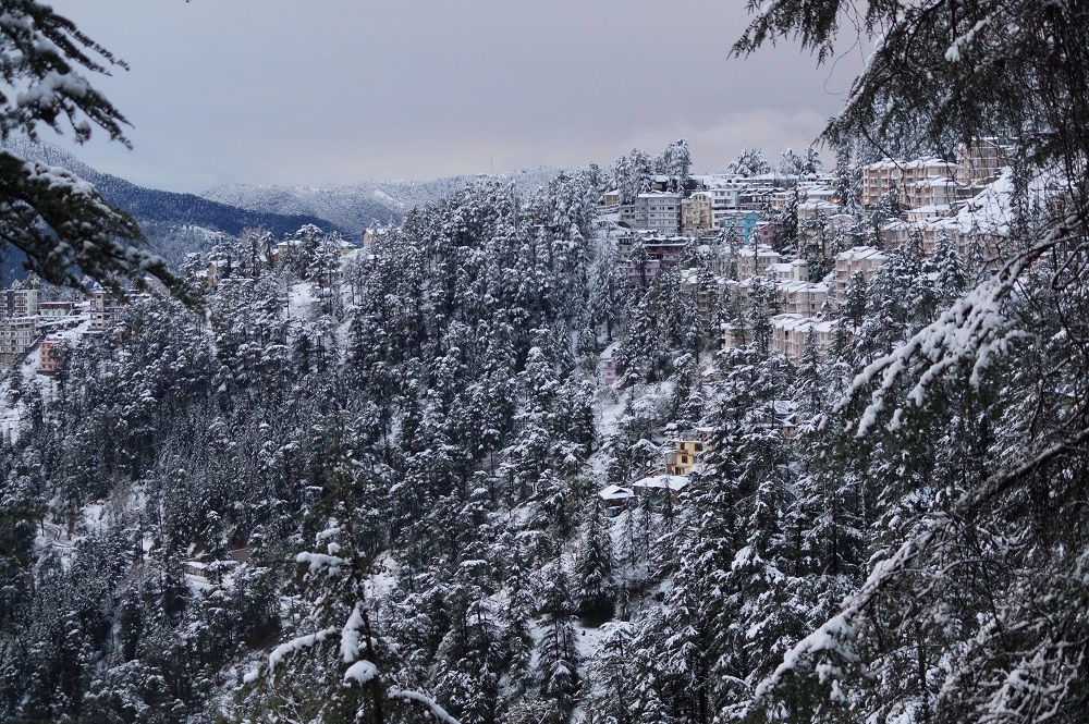 shimla