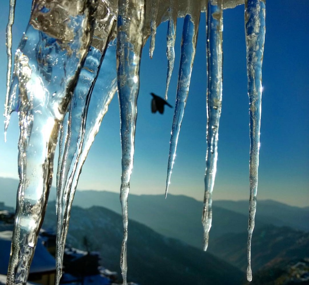 shimla