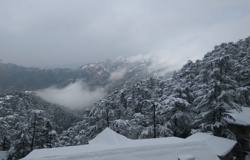 shimla