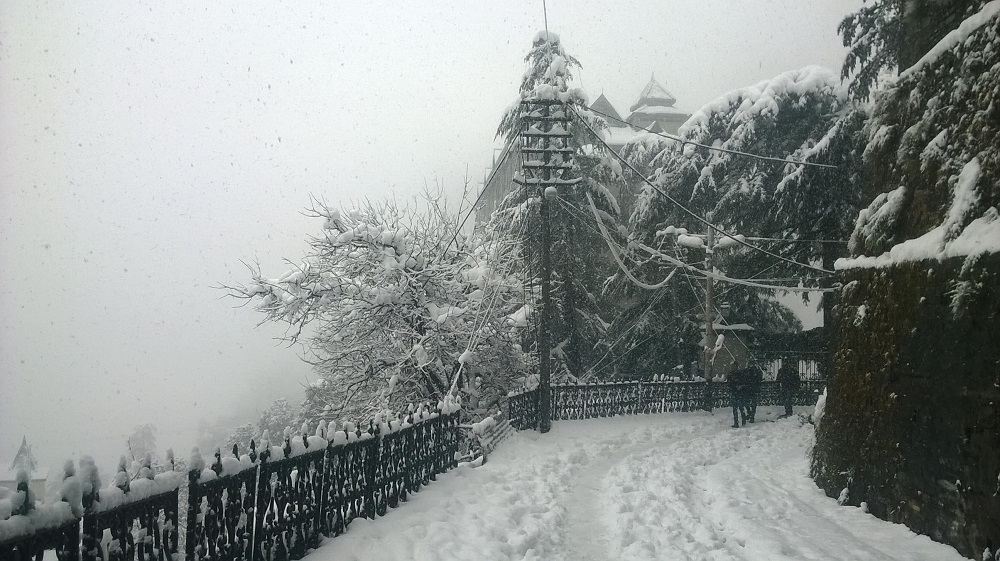 shimla