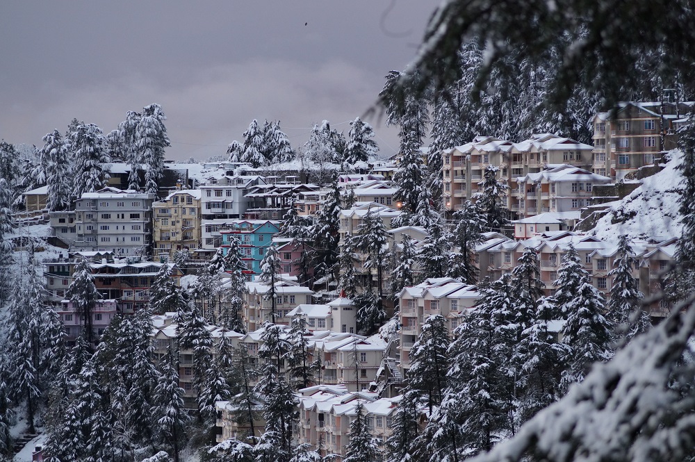 shimla