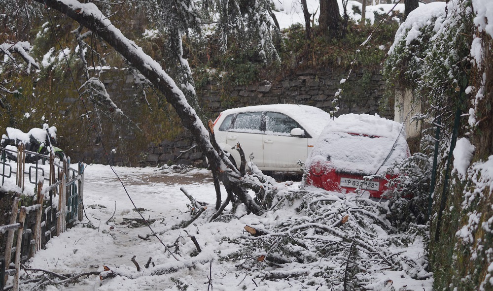 snowfall-in-shimla