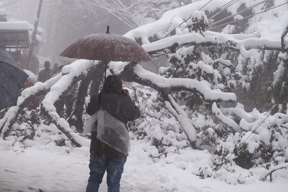 snowfall-in-shimla