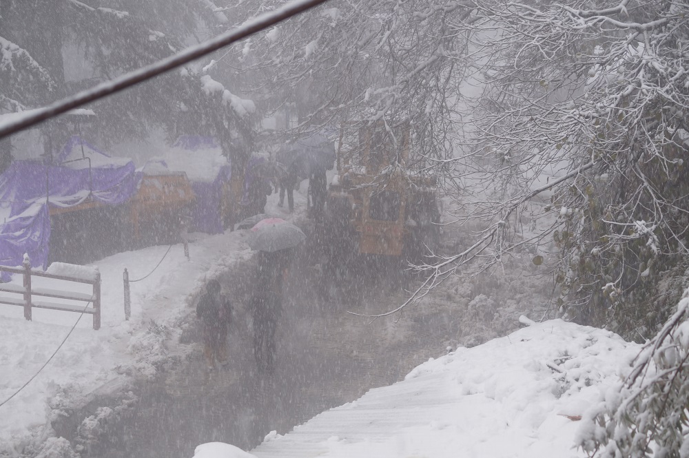 snowfall-in-shimla