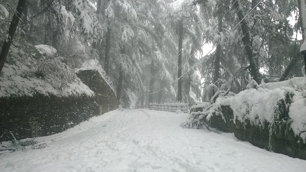 snowfall-in-shimla