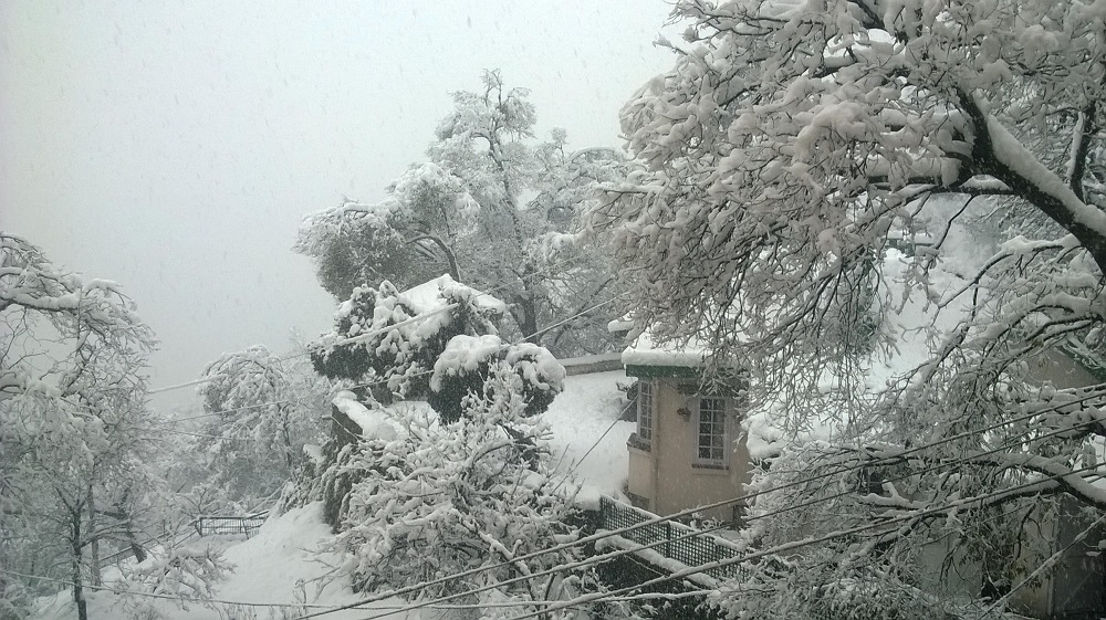 snowfall-in-shimla