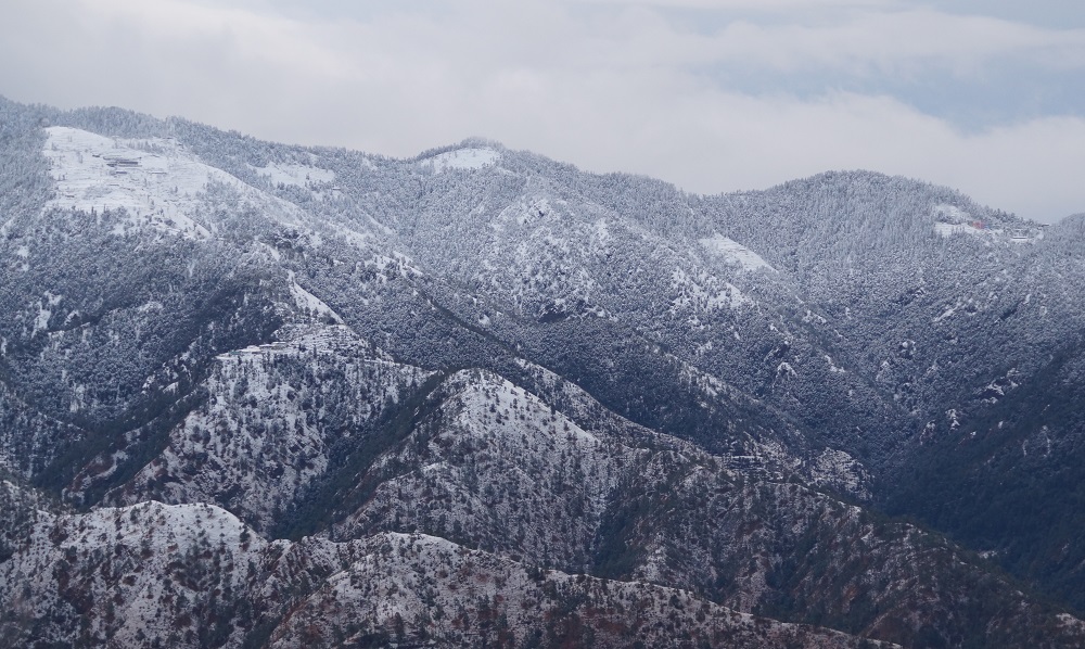 snowfall-in-shimla