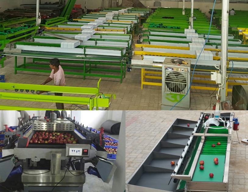 VMT Apple Grading Machine Himachal