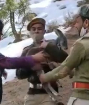 Forest Dept. rescues rare Himalayan Musk Deer at Chitkul