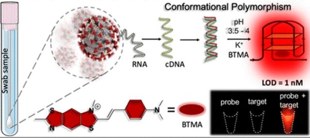 Scientists develop new technology platform to detect Covid