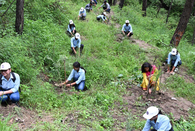Van Mahotsav: Over 650 plants planted at Nauni University