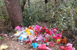 Himachal Intensifies Green Drive: Govt Pushes for Plastic-Free, Eco-Sustainable State by 2026