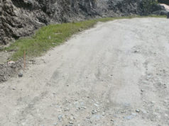 Himachal Notifies Scientific Guidelines for Jeepable and Ambulance Link Roads to Improve Rural Connectivity