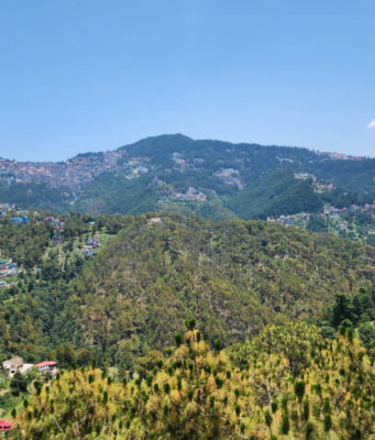 Shimla Weather: Record-Breaking Cold Spell Grips Hill Station as Mercury Plunges Below 10 Degrees