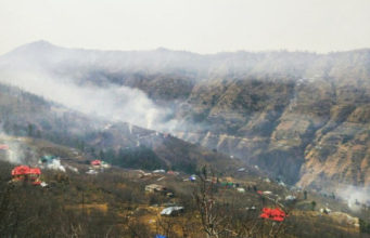 Red Dots on Apple Trees Signal Pest Danger, Advisory Issued for Himachal Growers