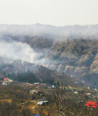 Red Dots on Apple Trees Signal Pest Danger, Advisory Issued for Himachal Growers