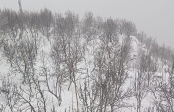 Dry December in Himachal: Snowfall Missing as Global Warming Tightens Grip