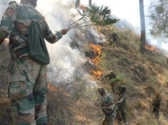 133 Eco Task Force Plants Over 6 Million Saplings, Revives Water Bodies in Himachal