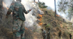 133 Eco Task Force Plants Over 6 Million Saplings, Revives Water Bodies in Himachal