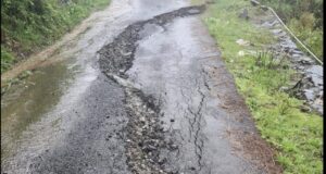 Shimla District battles rain havoc; roads, bridges and apple crop hit hard