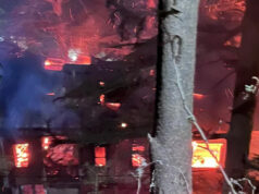 Old Wooden Building Gutted in Late-Night Fire in Shimla