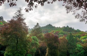 Community, Corporate Push to Drive Himachal’s Mission 32%