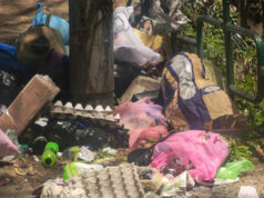 Garbage Piles Up Across Shimla as SEHB Employees’ Strike Enters Third Day