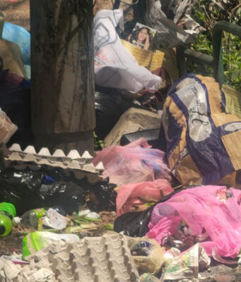 Garbage Piles Up Across Shimla as SEHB Employees’ Strike Enters Third Day