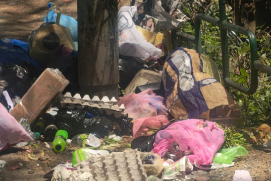 Garbage Piles Up Across Shimla as SEHB Employees’ Strike Enters Third Day
