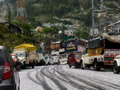 Himachal Weather Update: Hailstorms, Rain Lash Shimla, Damage Apple Crops in Several Regions