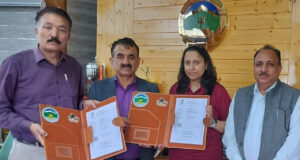 HP University partners with alumni-founded startup to convert pine needles into sustainable products