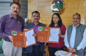 HP University partners with alumni-founded startup to convert pine needles into sustainable products