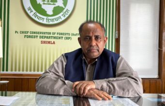 Himachal Targets Plantation on 8,000 Hectares, 5 Million Saplings to Be Planted
